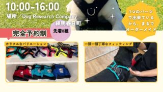 Perfect Fit Harness試着会のお知らせ